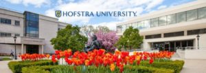 (photo credit to www.hofstra.edu)