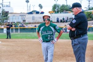 PV Little League and ump