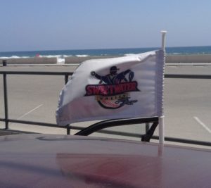 bashers car flag