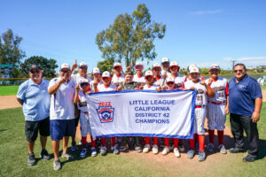 Sweetwater D42 banner