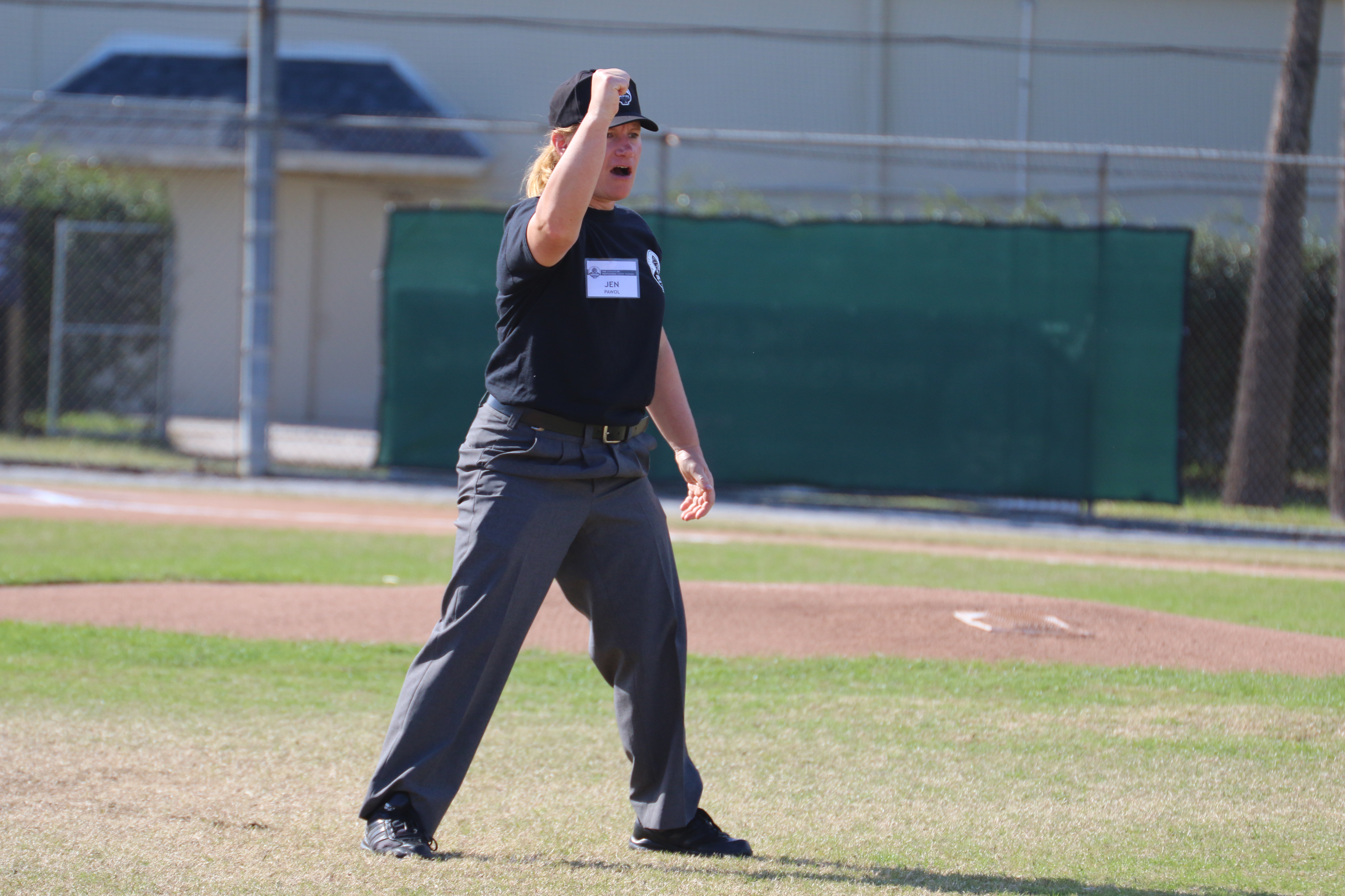 Minor League Baseball