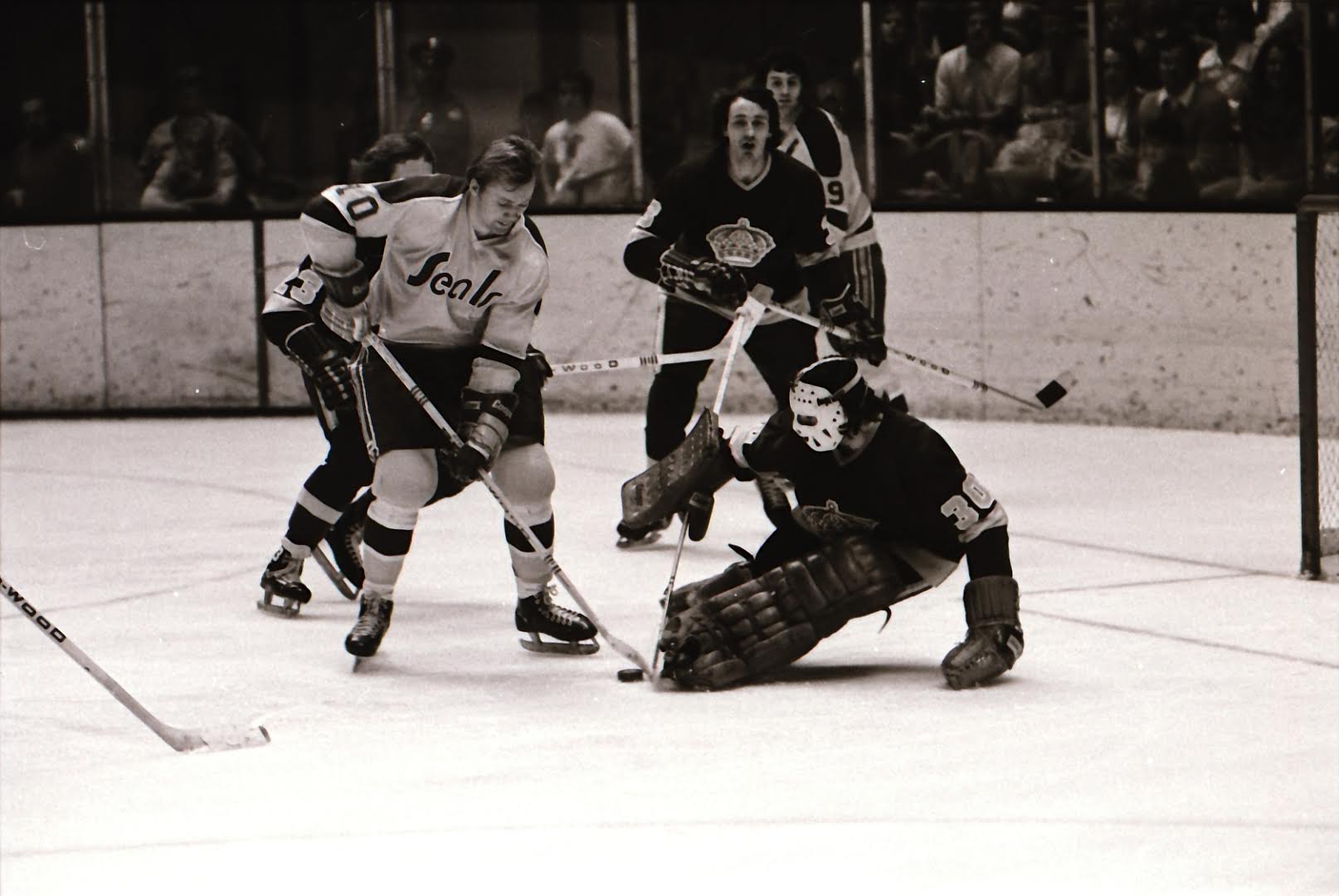Finley's White Skates – Golden Seals Hockey