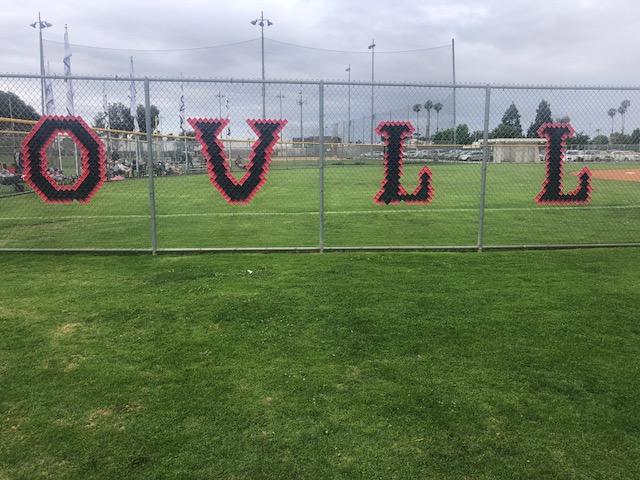 North Mission Viejo Little League Single A Dodgers had a perfect